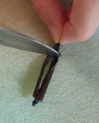 semi del baccello di vaniglia