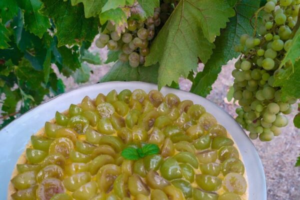 CROSTATA DEL VIGNETO
